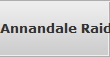 Annandale Raid Data Recovery Services