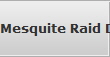 Mesquite Raid Data Recovery Services