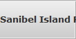 Sanibel Island Raid Data Recovery Services