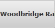 Woodbridge Raid Data Recovery Services
